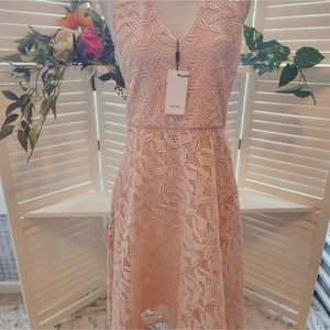 REISS NWT BLUSH FLORAL LACE VNECK DRESS SIZE 8